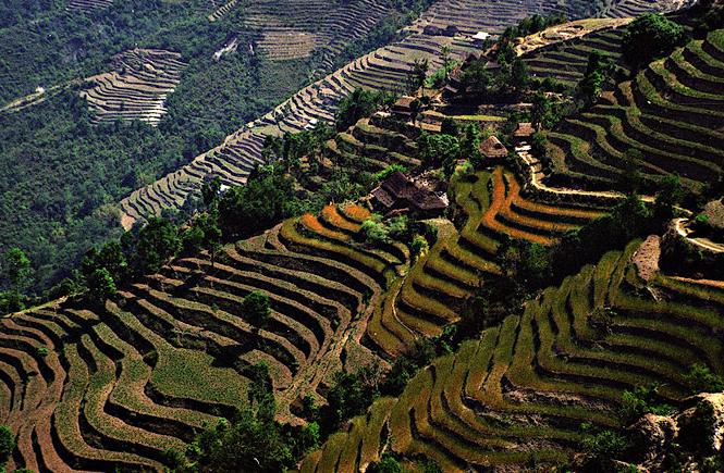 The villages of south Bhutan are still weeping...