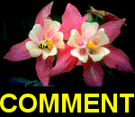 Comment
