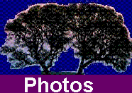 Some Pictures