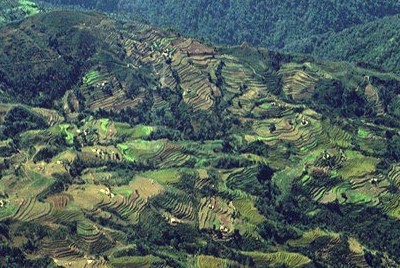 hills